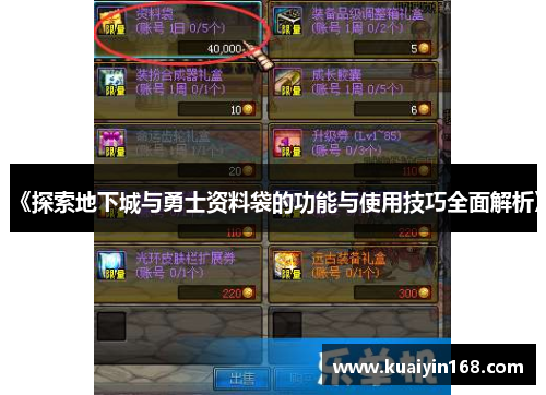 《探索地下城与勇士资料袋的功能与使用技巧全面解析》